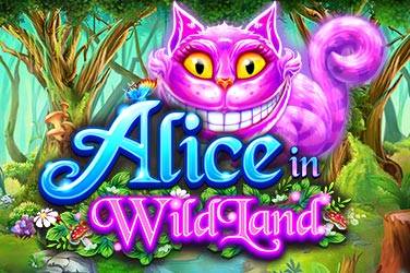 Alice in wildland