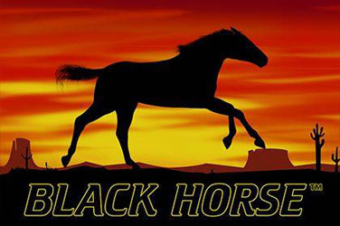 Black horse