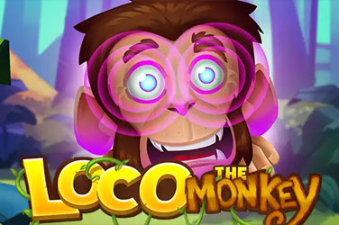 loco-the-monkey